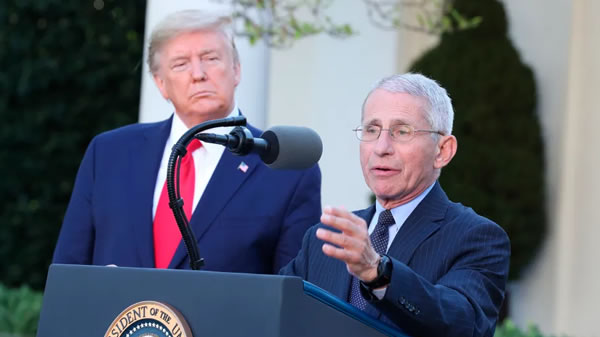 Anthony Fauci Coronavirus: La polémica entre la Casa Blanca y Anthony Fauci