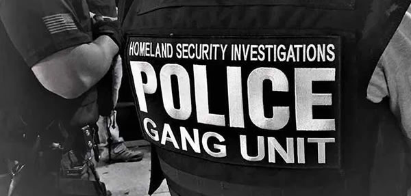 ICE convierte operativos de pandillas en redadas Denuncian que ICE convierte operativos de pandillas en redadas contra inmigrantes