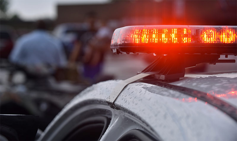 Encuentran el cuerpo de una mujer en un estanque en Brooklyn Park Encuentran el cuerpo de una mujer en un estanque en Brooklyn Park