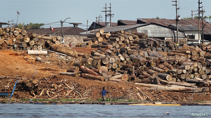 madera desde Perú EE.UU. continúa bloqueando importación ilegal de madera desde Perú