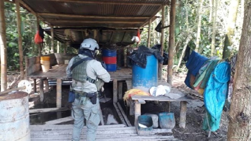 lucha antidrogas Colombia: supuesto fracaso de lucha antidrogas genera opiniones divididas