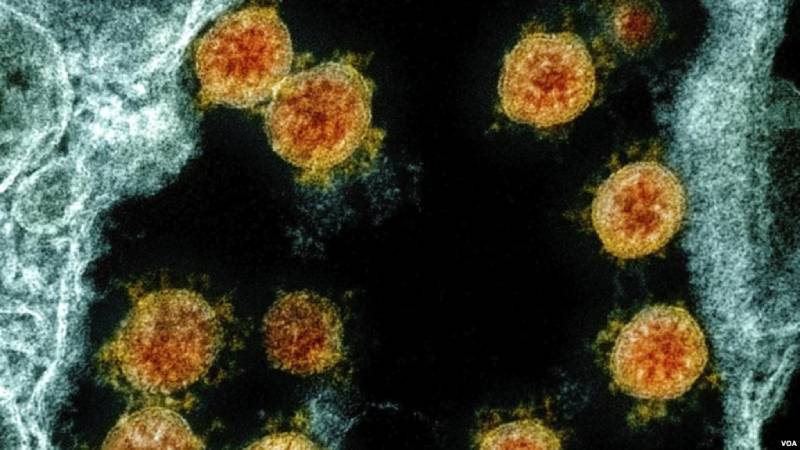 Una nueva prueba de sangre podría medir la inmunidad contra el COVID-19, según estudio medir la inmunidad contra el COVID-19