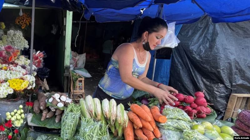 EEUU: inversión privada en Centroamérica será clave para minimizar flujos migratorios
