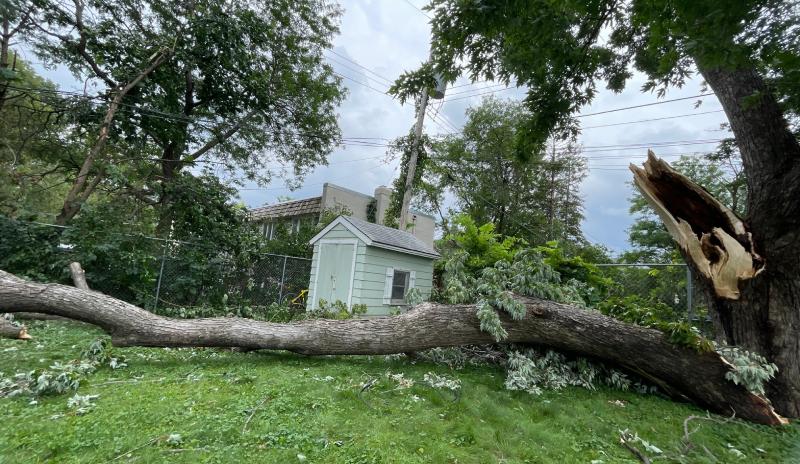 Miles de personas siguen sin electricidad en Minnesota