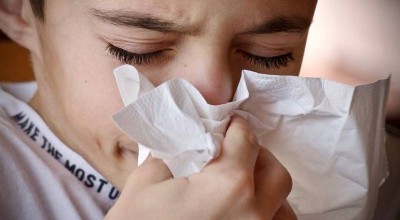 temporada de influenza