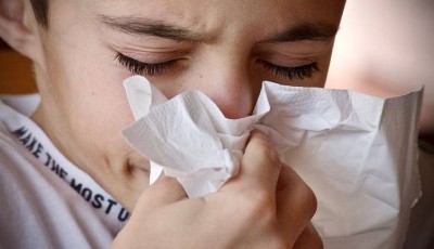 temporada de influenza