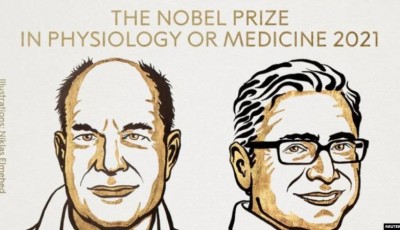 Premio Nobel de Medicina 2021