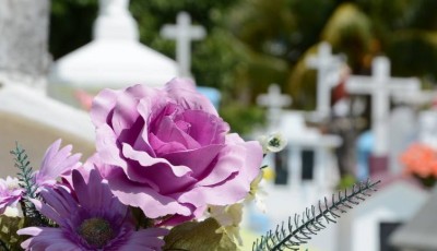 costos funerarios de COVID-19 en EE. UU.