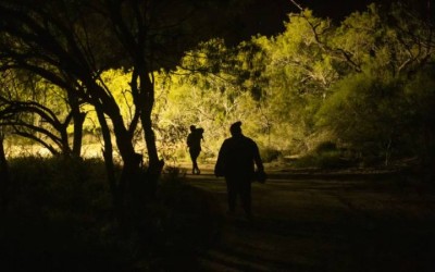 'Dígale no al coyote': EEUU alerta sobre el tráfico humano