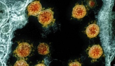 Nuevas subvariantes de ómicron eluden protección inmune y de las vacunas