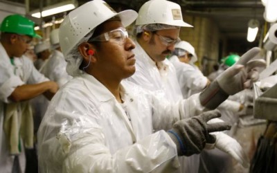 Aumenta desempleo entre hispanos en EEUU: educación y estatus legal entre las razones