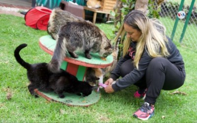 Empresaria colombiana expande a EEUU su negocio para el cuidado de animales