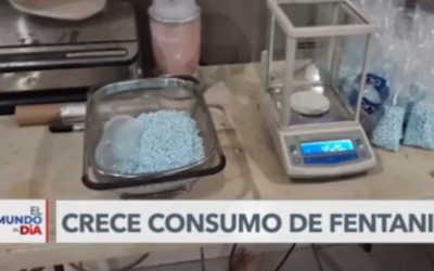 Reporte especial: Prolifera la venta en línea de químicos para fabricar fentanilo