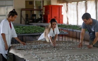EEUU anuncia medidas para ayudar a las pequeñas empresas en Cuba
