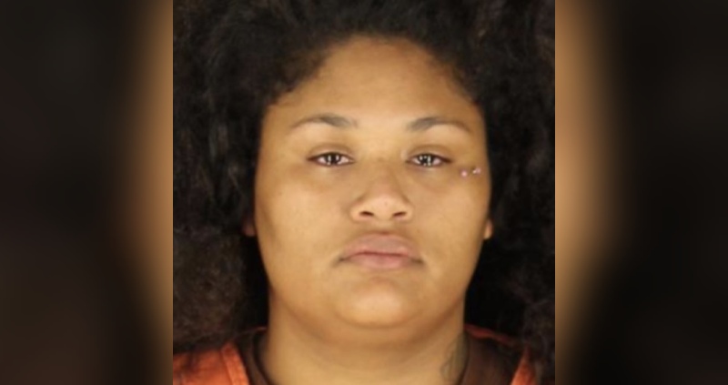 Mujer de Minneapolis condenada a 23 años por atropello masivo Mujer de Minneapolis condenada a 23 años por atropello masivo
